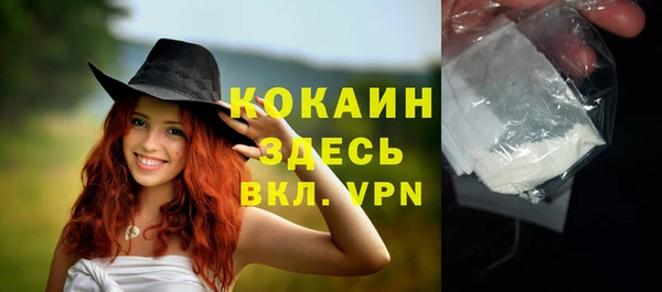 гашик Михайловка