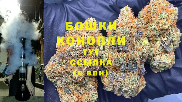 гашик Михайловка