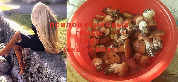 гашик Михайловка