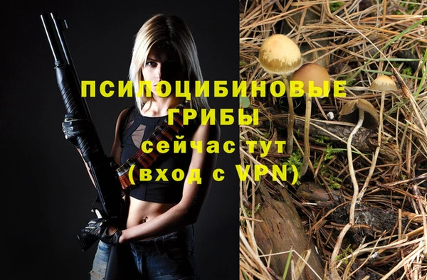 гашик Михайловка