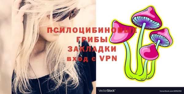 амф Михайловск